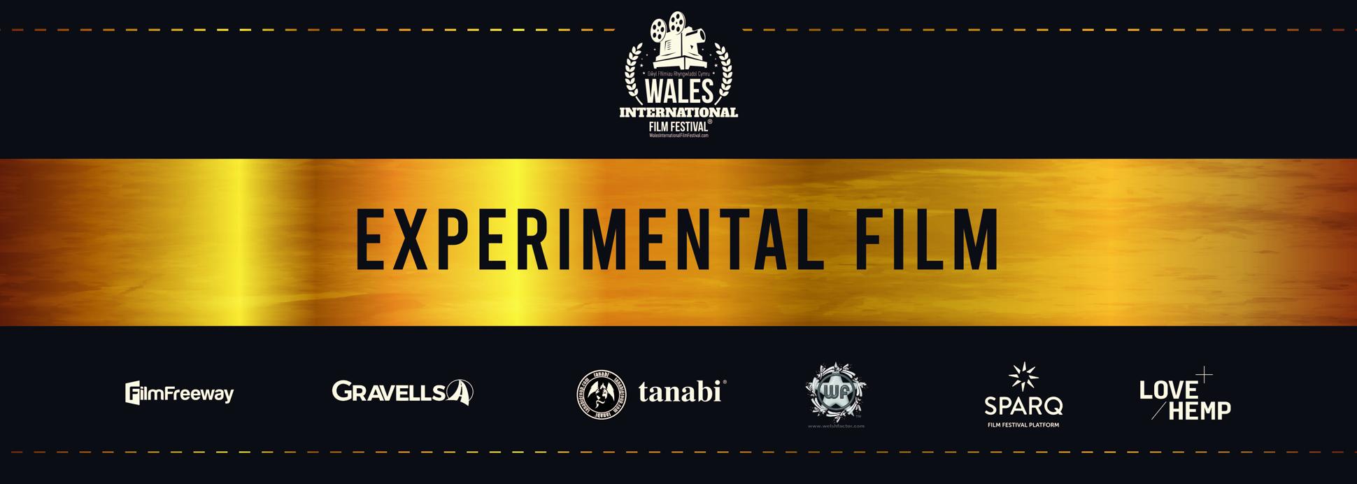 2023 - Experimental Film Category