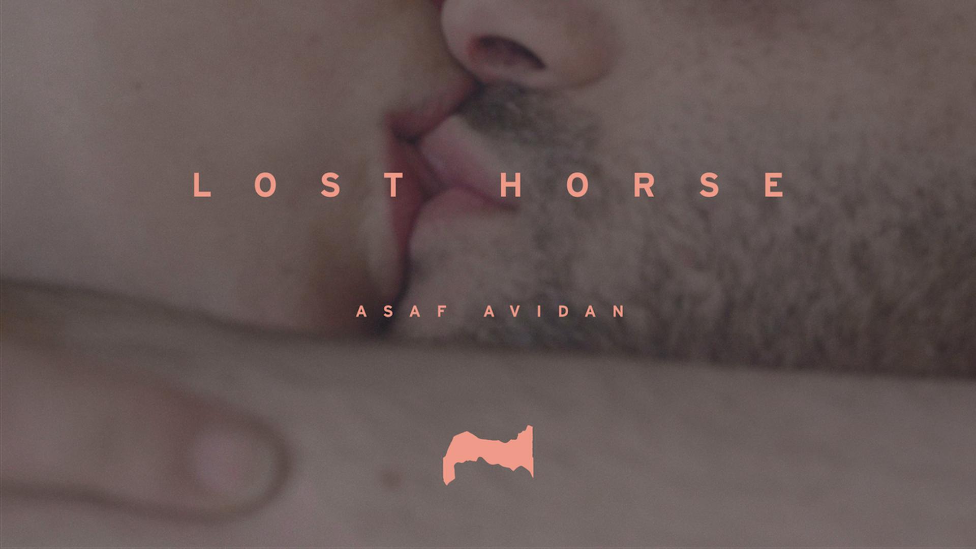Lost Horse - Asaf Avidan