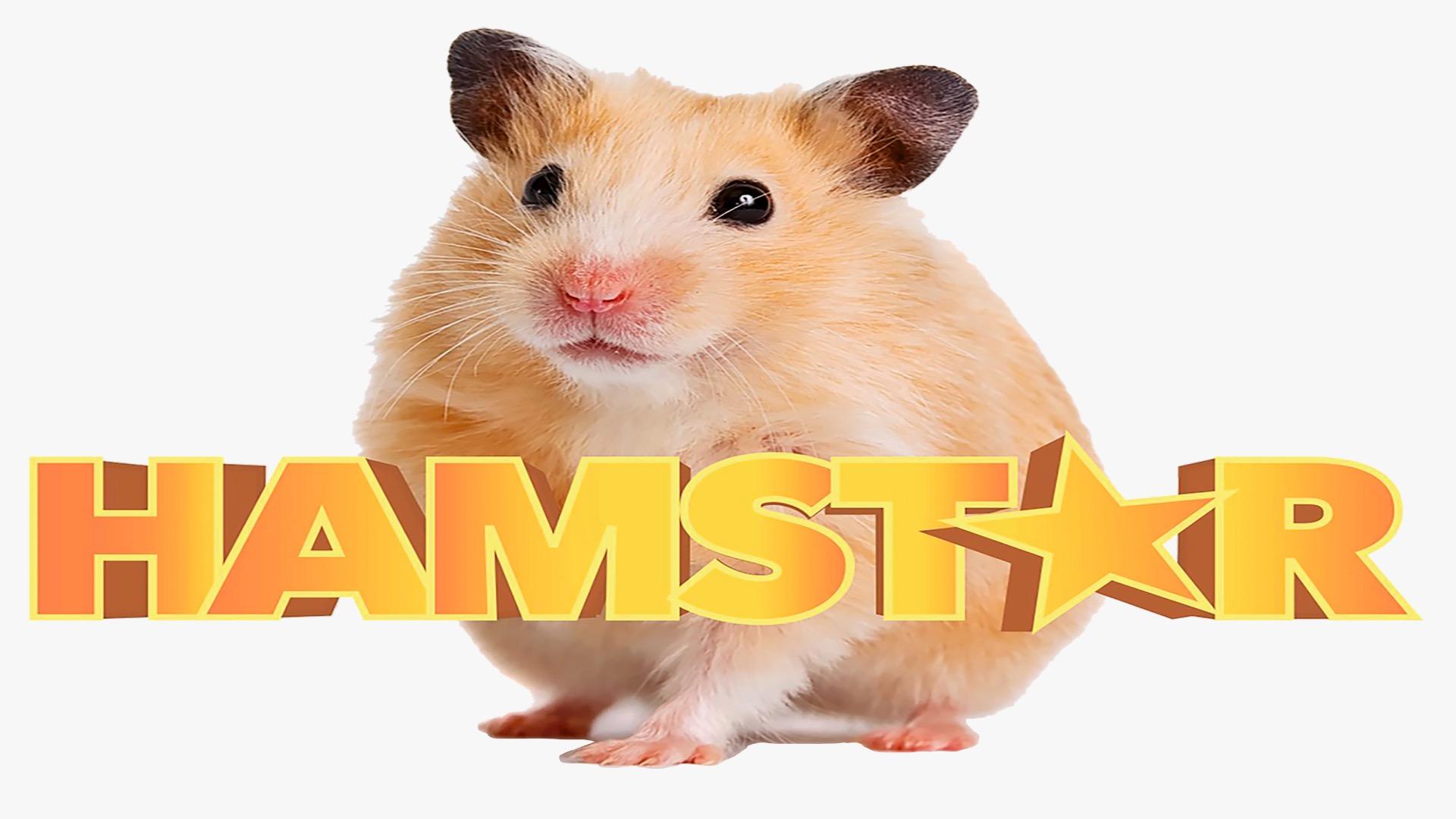 Hamstar