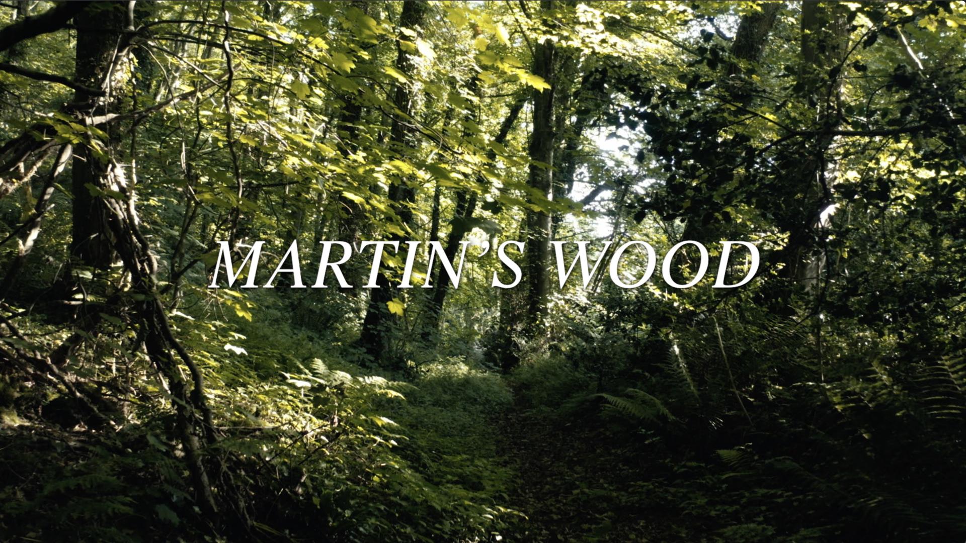 Martin's Wood