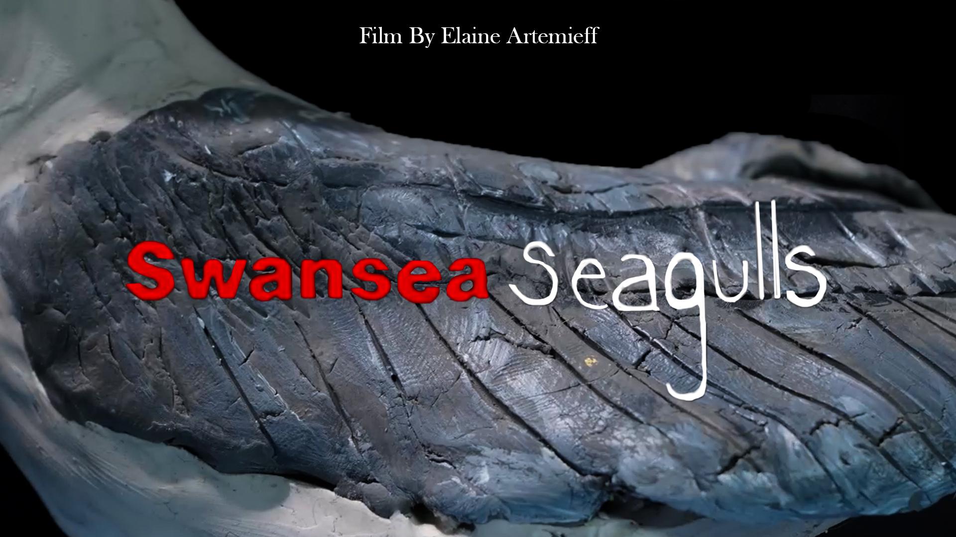 Swansea seagulls