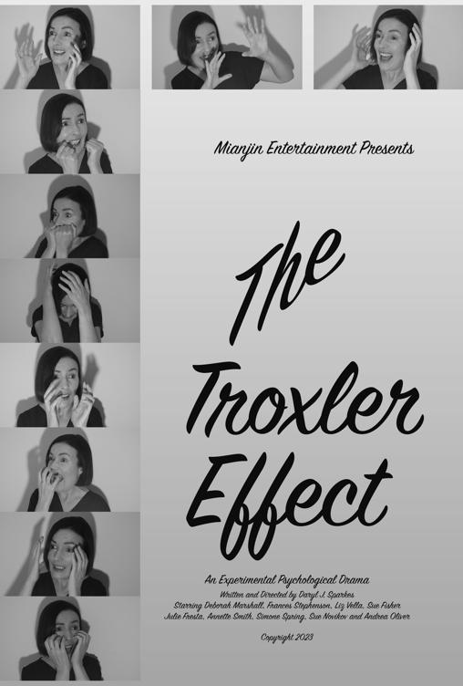 The Troxler Effect