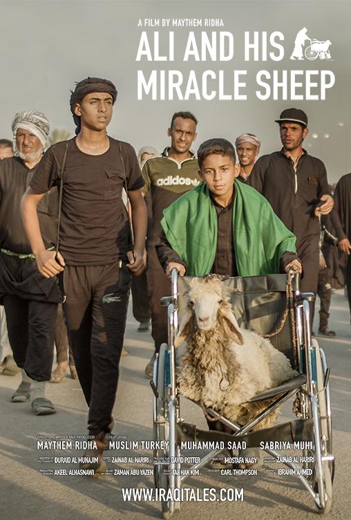 Ali and His Miracle Sheep